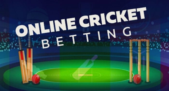 Why To Play Online IPL Betting In Wolf777